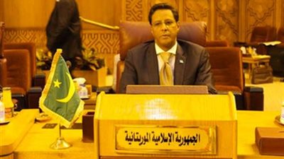 سفير موريتانيا في «إفريقية النواب» لتعزيز التوجه المصري بالقارة
