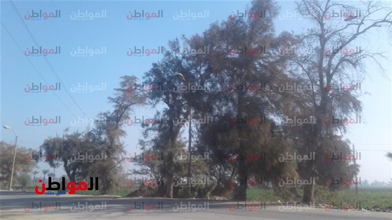 حالة الطقس اليوم
