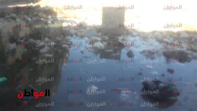 حق المواطن| محول كهربائي يغرق في مياه الصرف بمناخ بورسعيد