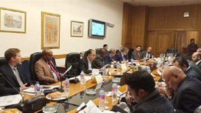  سفير جنوب أفريقيا: هكذا يدعم الرئيس السيسي العلاقات بيننا 