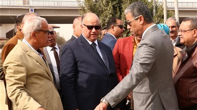 محافظ القاهرة يتفقد الاستاد استعدادًا لبطولة الأمم الإفريقية 2019