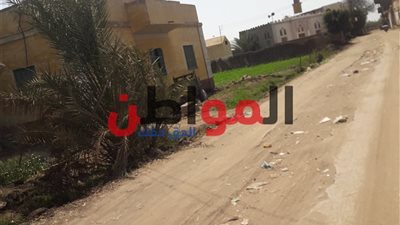 حالة الطقس بالمنوفية: رياح وأتربة وانخفاض في درجات الحرارة