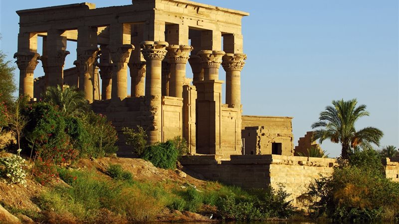 ملتقى الشباب العربي