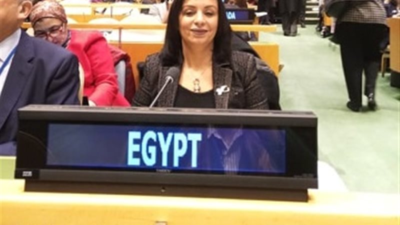  لجنة وضع المرأة