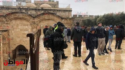  فيديو| عشرات المستوطنين يقتحمون المسجد الأقصي الخميس 