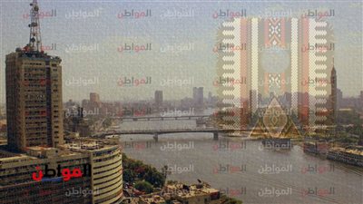 «بعد كأس الأمم» التلفزيون المصري وإفريقيا يلتقيان مجددًا بعودة فنية