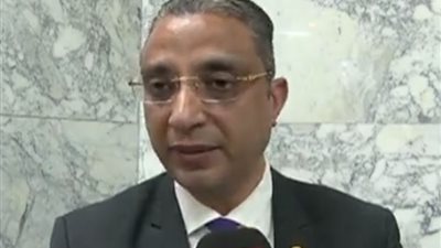 الدكتور أحمد الأنصاري: جاري تنفيذ 12 ألف مشروع للشباب في سوهاج