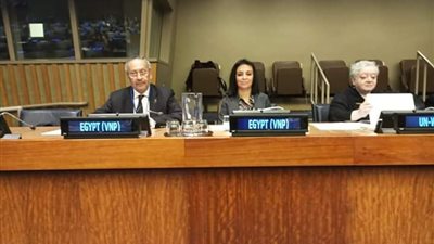 الأمم المتحدة تُشيد بدور مصر في دعم تمكين المرأة