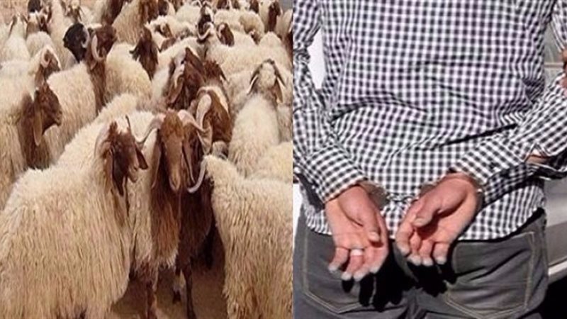 ضبط تشكيل عصابي