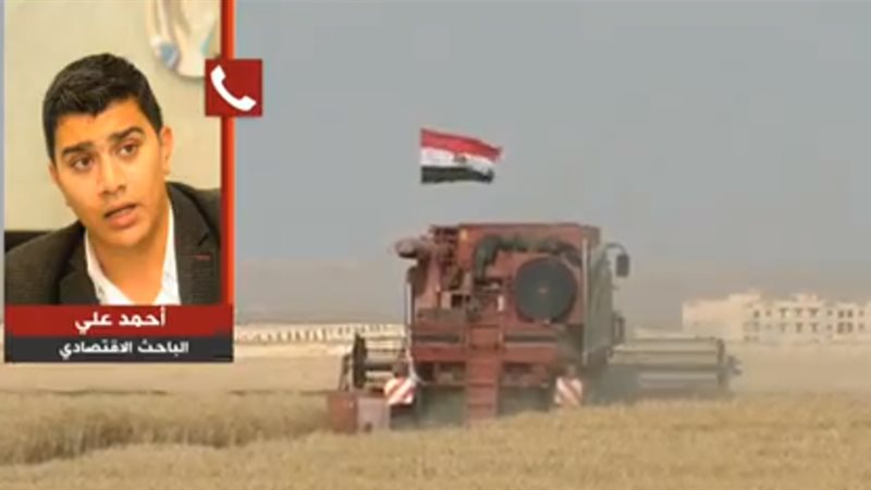 أحمد على الباحث الاقتصادي