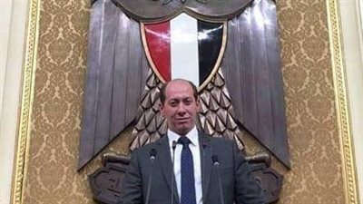 برلماني: ملتقى الشباب العربي والإفريقي 2019 بداية حقيقية للاستثمار