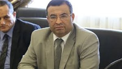 برلماني: ملتقي الشباب العربي الإفريقي 2019 يؤكد أن مصر آمنة