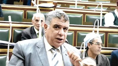 النائب كساب: ملتقى الشباب العربي والإفريقي 2019 يخدم قضايا العرب والقارة