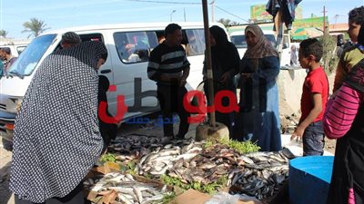 صور| انخفاض كبير فى أسعار الأسماك بأسواق الإسكندرية 