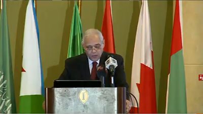 بث مباشر| بدء اجتماعات الجمعية العمومية للمجلس العربي للمياه
