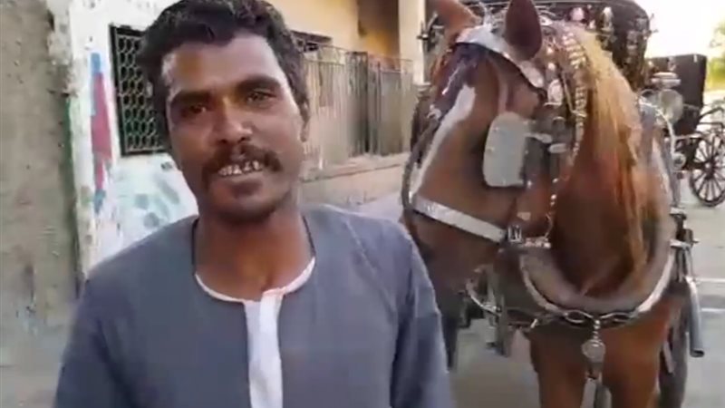 سائق حنطور في أسوان
