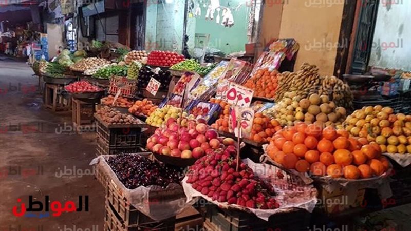 ملتقى الشباب العربى