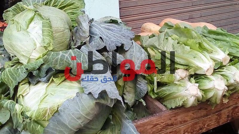 أسعار الخضراوات والفاكهة