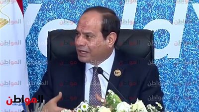 السيسي في المائدة المستديرة : «خلي بالكم من استقرار بلادكم»