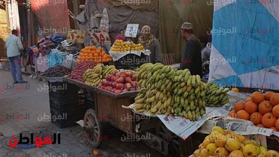 صور| أسعار الخضروات والفاكهة اليوم الأثنين 18 مارس 2019 في أسوان