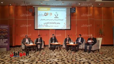 فيديو| ممثل حزب النور: مصر شريك أساسي في حل الأزمات العربية
