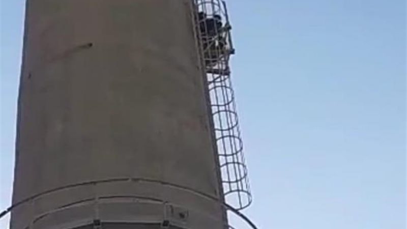 المواطن