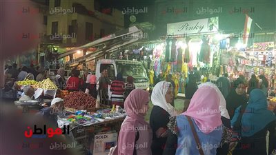 صور| في استجابة لـ «المواطن».. إنارة شارع الشواربي بأسوان