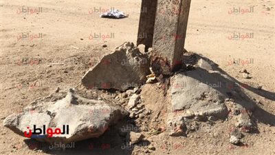 لخدمة أهالي الشرقية.. استمرار صيانة أعمدة الإنارة في المدن