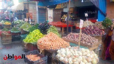 صور| استقرار أسعار الخضراوات والفاكهة اليوم بأسواق البحيرة