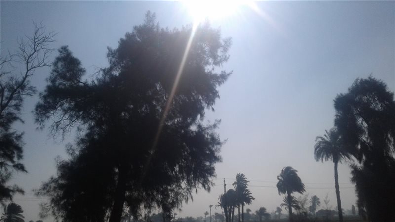 حالة الطقس ببني سويف