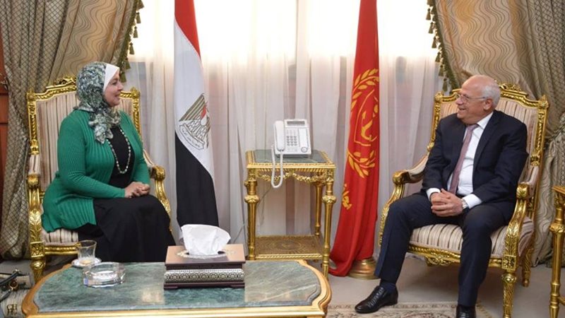 الام المثالية 2019