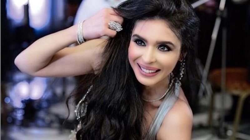 الفنانة دينا 