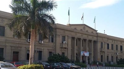 عميد حقوق القاهرة: حرية المنافسة تتطلب عدم اقتصار الرئاسة بمدة 