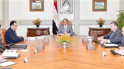 السيسي يبحث مع مدبولي الموقف التنفيذي لـ«تطوير شركات قطاع الأعمال العام»