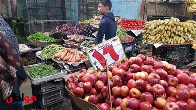 أسعار الفاكهة اليوم الخميس 21 مارس 2019 في سوق العبور