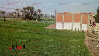 حالة الطقس اليوم الخميس بالفيوم: دفء في غالبية الأماكن