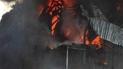 أخبار صباح الخميس بالفيوم: حريق بمزرعة وعمليات جراحية مجانًا