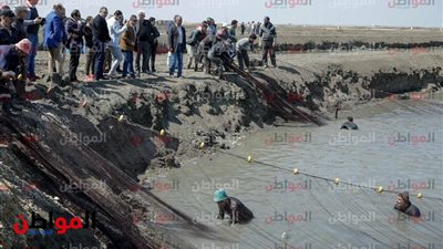 صور| «صناعة النواب» تشهد خروج إنتاجية الأحواض السمكية ببورسعيد
