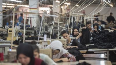 تطوير صناعة القطن المصري بارقة أمل للعاملين في منظومة الذهب الأبيض