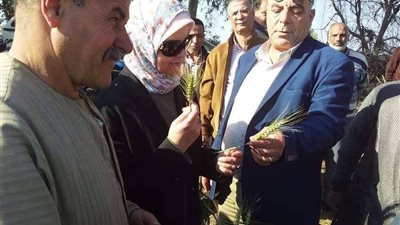 نائب وزير الزراعة: مشروع ترشيد استهلاك المياه ينعكس على الفلاح