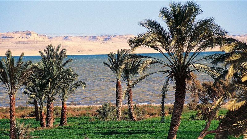 حالة الطقس اليوم