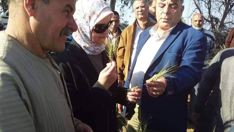 نائب وزير الزراعة