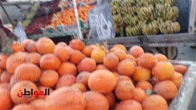 صور| أسعار الخضراوات والفاكهة اليوم الأحد بأسواق بورسعيد