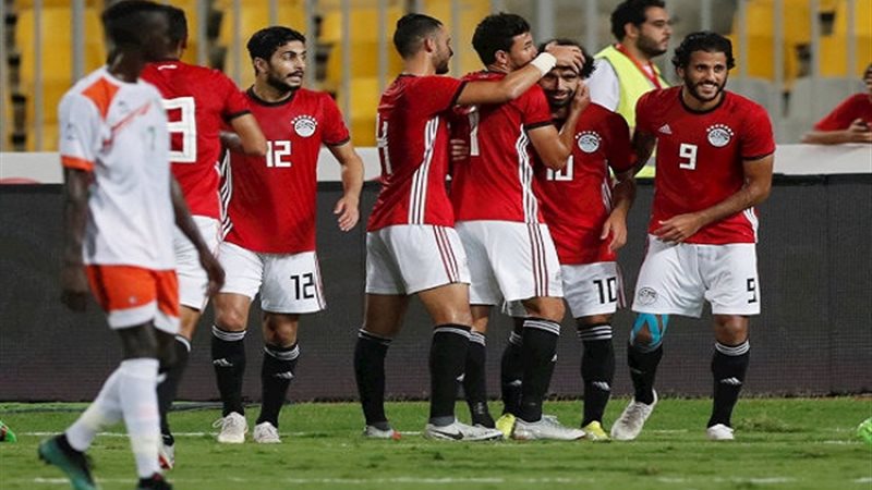 مصر والنيجر