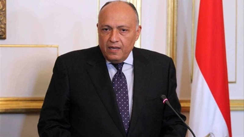لقاء وزير الخارجية