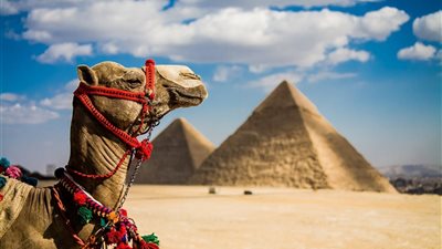 «بعد جائزة FVW»| لهذه الأسباب مصر استحقت أفضل المقاصد السياحية