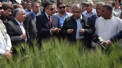 محافظ بني سويف ووزير الزراعة يتفقدان الحقول الإرشادية لمحصول القمح