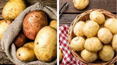 «فوائد البطاطس» لا تعد ولا تحصى