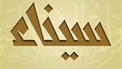 إحالة 12 متهما بقضية «تنظيم ولاية سيناء» إلى جنايات أمن الدولة