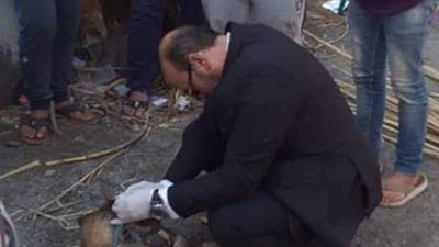 صور| «أسطورة أم موروث» حقيقة حيوان السلعوة في مصر
